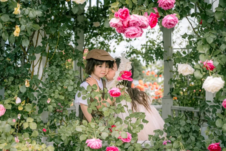 バラに囲まれたお子さまのロケーション撮影