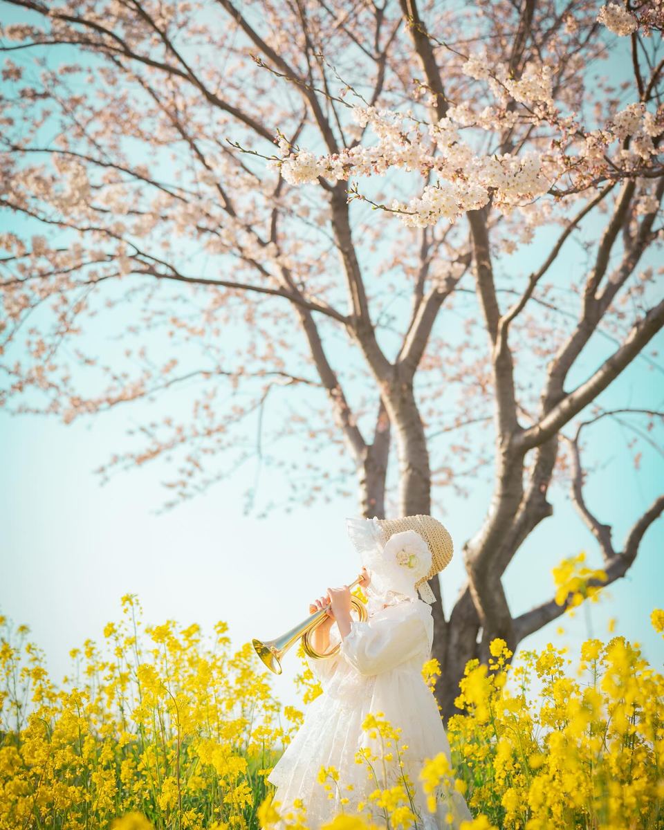 菜の花畑のロケーション撮影