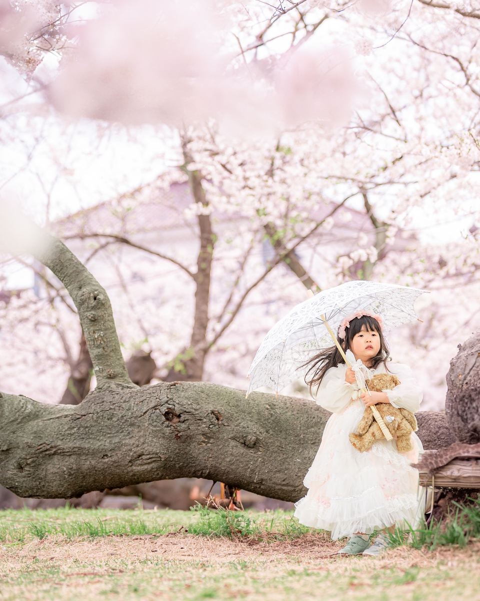 桜のロケーション撮影