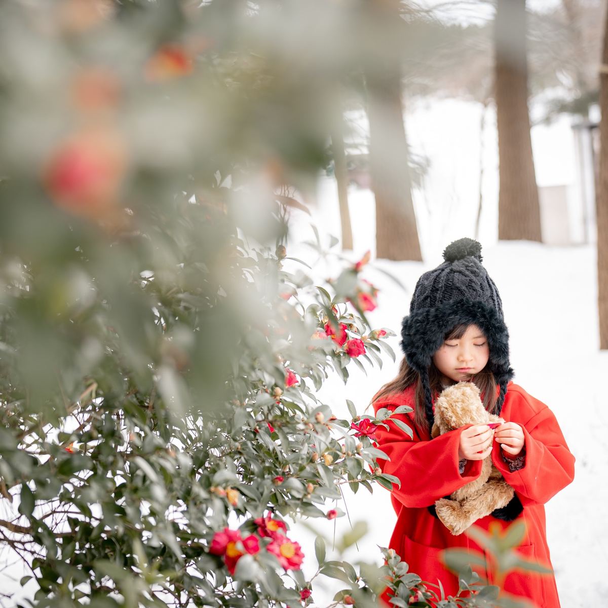 雪景色とカメリアのロケーション撮影